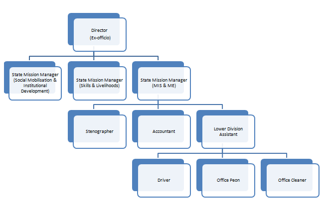 Organisational Structure